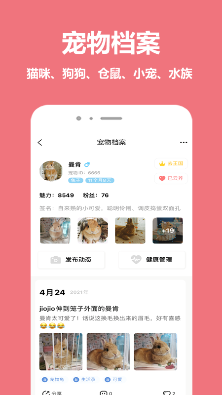 
宠物王国app