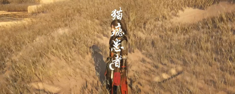 《燕云十六声》河西猫瘾患者奇遇做法介绍