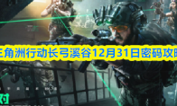 三角洲行动长弓溪谷12月31日密码攻略