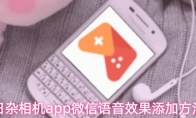 日杂相机app微信语音效果添加方法