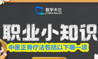 中医正骨疗法包括以下哪一项