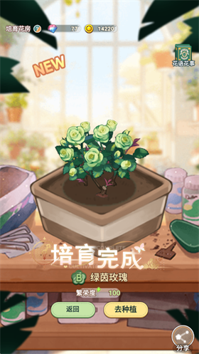 花札物语官方版