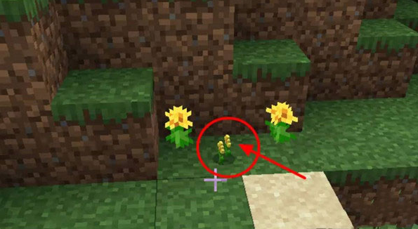 我的世界蜜蜂养殖技巧分享6