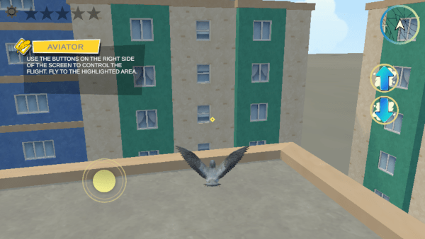 疯狂的鸽子 大量毛毛虫(图5)