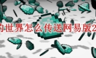 我的世界怎么传送网易版2026