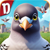 pigeonpop 官方正版