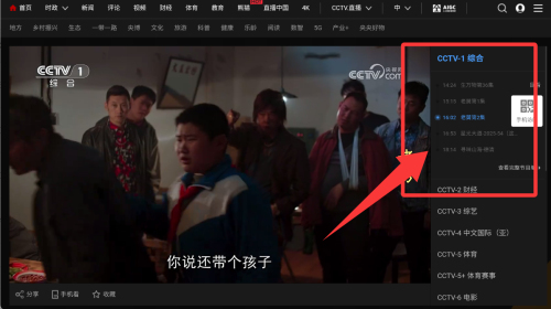 webviewTV 官方下载(图2)