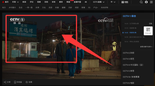 webviewTV 官方下载(图3)