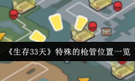 《生存33天》特殊的枪管位置一览