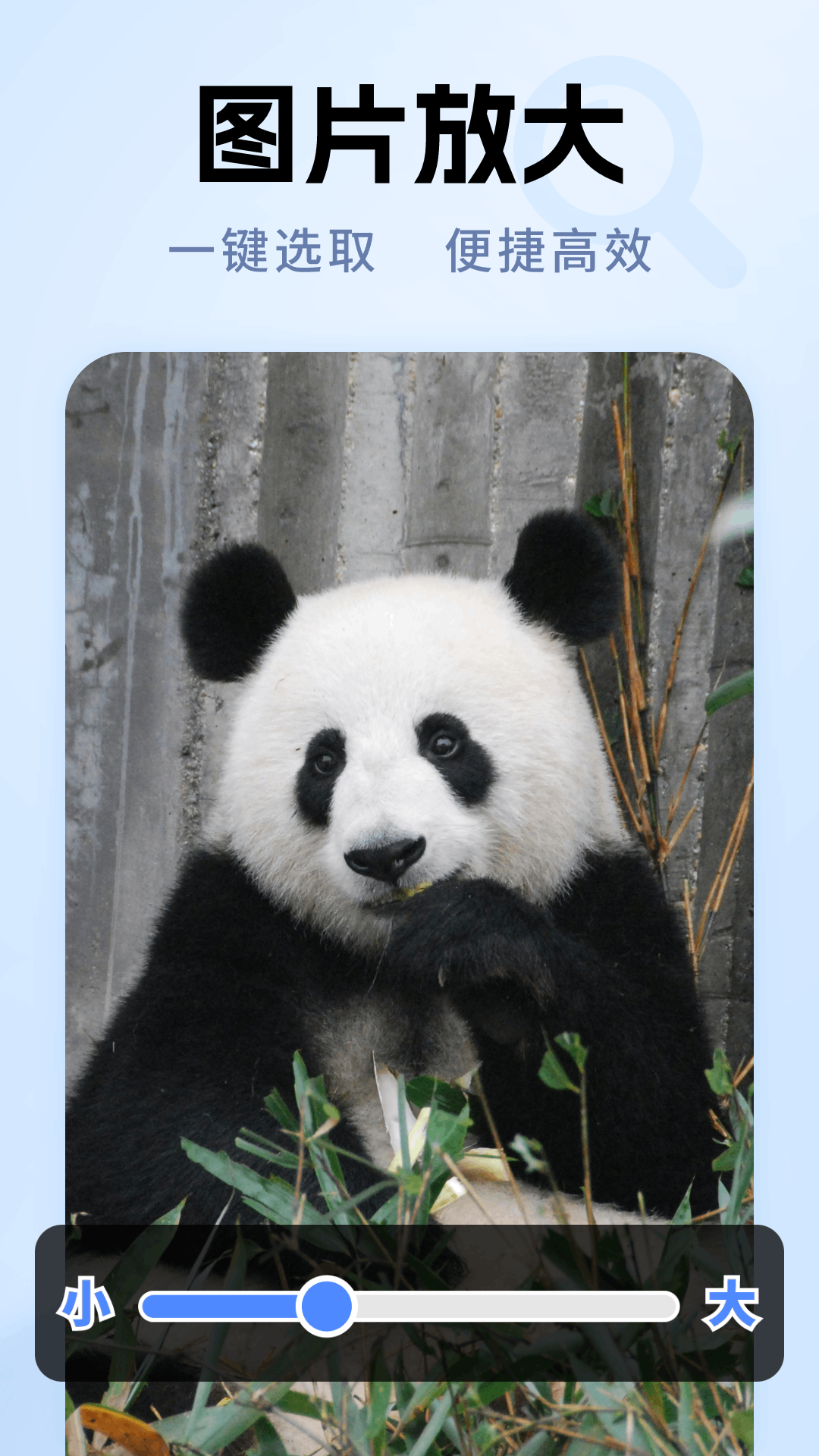 
老年放大镜专家