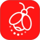 火萤动态壁纸 2026最新版