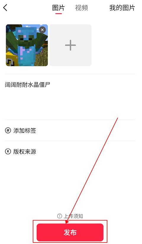 汽水壁纸 2026最新版(图4)
