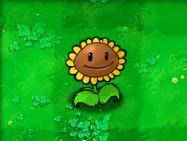 植物大战僵尸经典版 安卓版(图11)