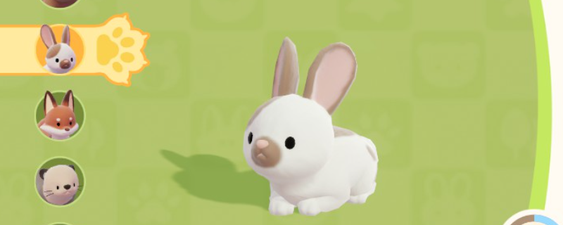 《心动小镇》兔子位置及喜爱食物分享