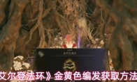 《艾尔登法环》金黄色编发获取方法