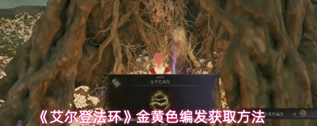 《艾尔登法环》金黄色编发获取方法