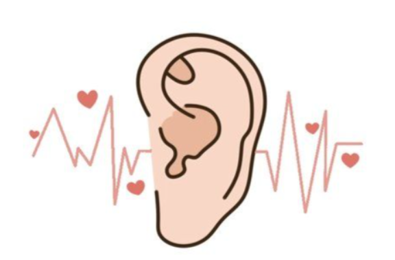 我们的耳朵之所以能听见声音，离不开哪种细胞的帮助？