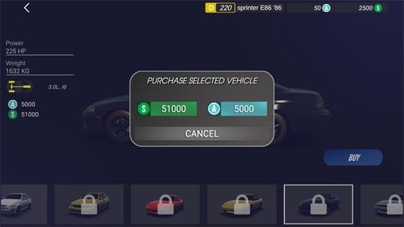 神力科莎 拉力(图8)