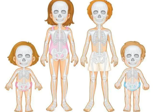 新生儿的骨头数量比成年人更多还是更少?