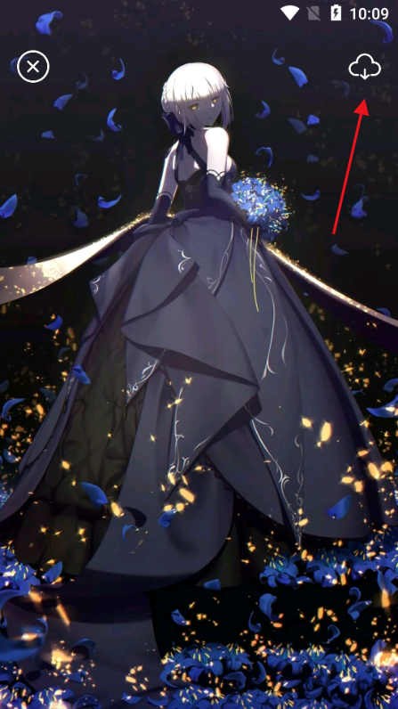 多彩壁纸 2026最新版(图3)