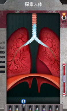 人体是如何运作的(图4)