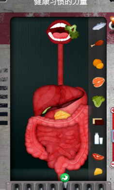 人体是如何运作的(图3)