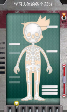 人体是如何运作的(图2)