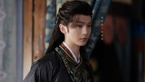 御赐小仵作2祐辰安生母是谁