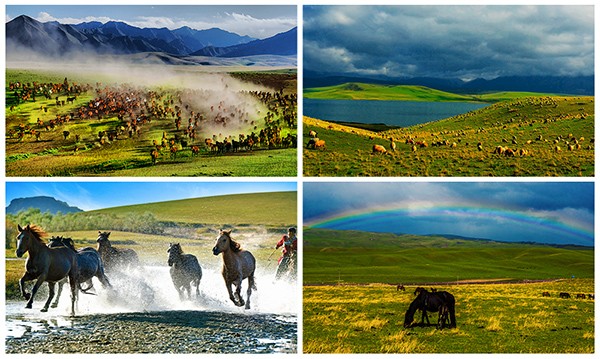联动获央媒点赞！魔域马年幻兽携手张掖、汉血宝马基地，焕新文化传承