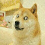 尘埃直装 v3.0辅助器