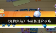 《宠物集结》小磁怪进阶攻略