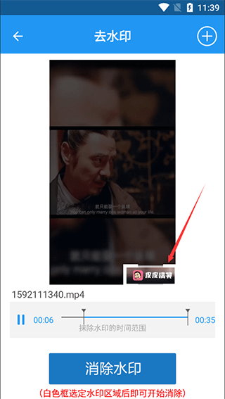 视频去水印全能王(图4)