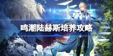 鸣潮陆赫斯培养攻略 鸣潮陆赫斯声骸武器阵容推荐