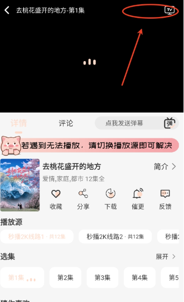 
小猪4K追剧
