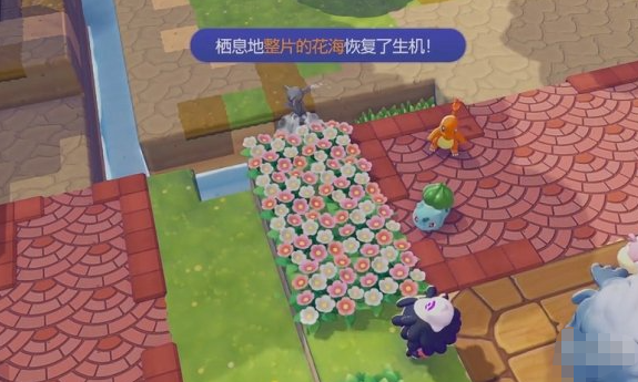 宝可梦Pokopia整片的花海栖息处怎样解锁(图2)