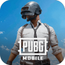 pubg越南服 2026最新版