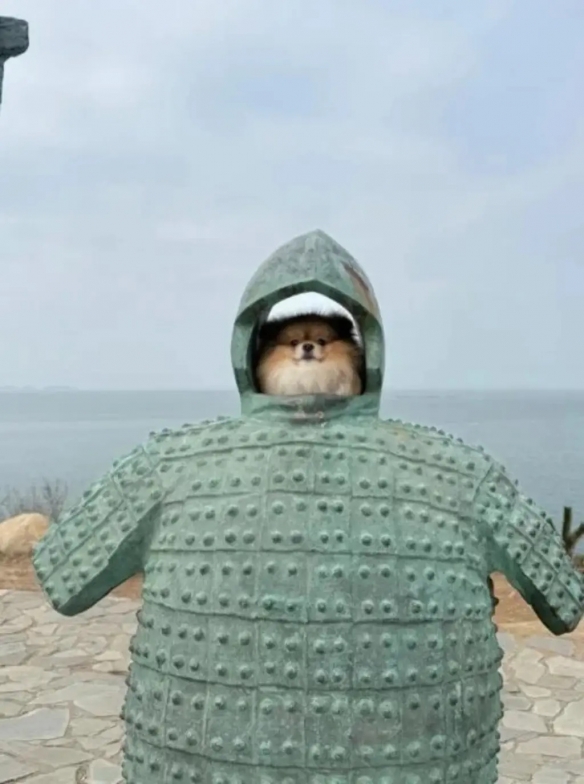 又想骗我去加油 囧图 理发师 给我理个像地球仪的头发(图1)