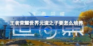 王者荣耀世界元流之子要怎么培养 王者荣耀世界元流之子流脉选择与装备配队推荐