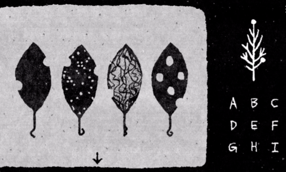 她的树 免费版(图5)