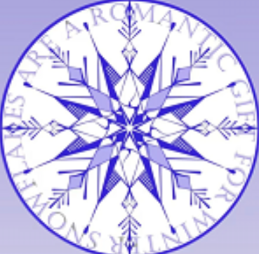 雪花直装 公益版