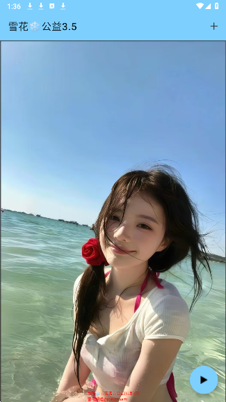 雪花直装 公益版(图2)