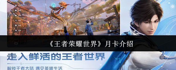 《王者荣耀世界》月卡介绍