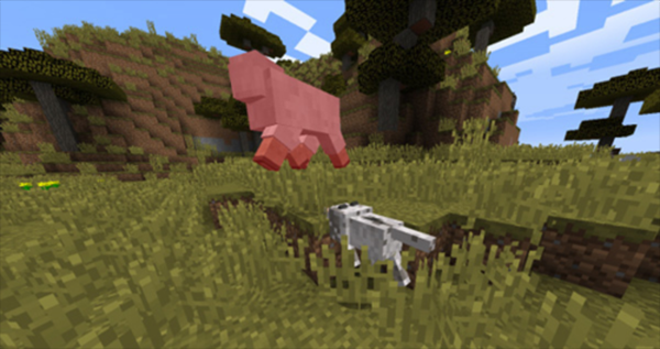 
cat制裁盒子 公益版