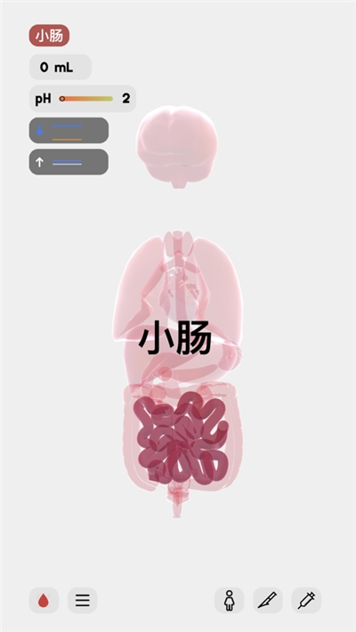 
life生命模拟器 2026最新版