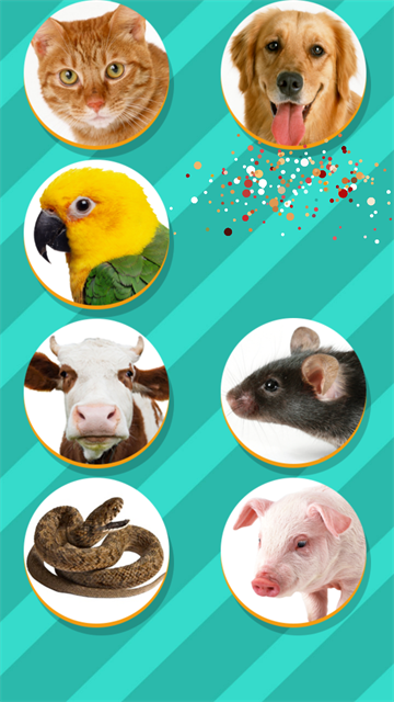 
下载动物翻译器 正版免费安装