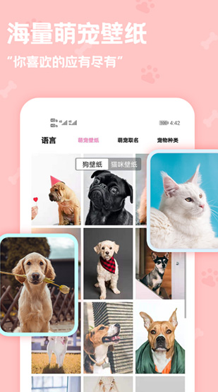 下载动物翻译器 正版免费安装(图5)