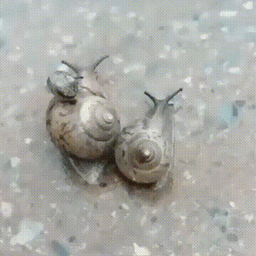 健身房这位置得加钱 动图 模仿各国影视剧中枪的表现(图1)