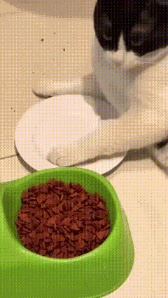 健身房这位置得加钱 动图 模仿各国影视剧中枪的表现(图3)