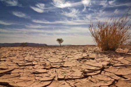 全球气温或再创新高！气象组织：2026年将再发厄尔尼诺