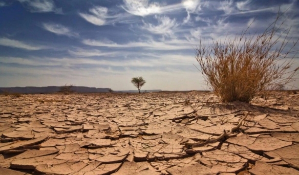 全球气温或再创新高！气象组织：2026年将再发厄尔尼诺(图2)